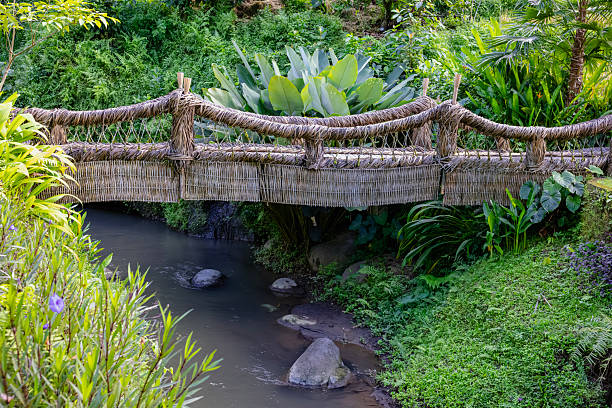 Pathways and greenery rice field, at UBUD, Bali.