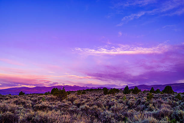 A vivid twilight sky glows in soft gradients of purple, pink, and blue above a vast high desert landscape filled with sagebrush and scattered juniper. This tranquil scene captures the natural beauty and solitude of the American West at sunset, with distant mountains silhouetted along the horizon.