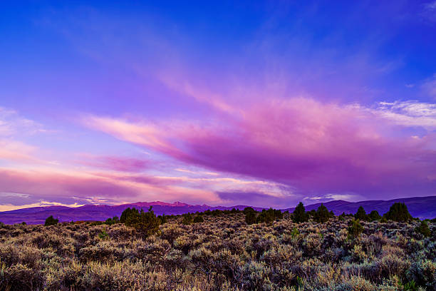 istock Purple Twilight Over Sagebrush Wilderness 2228688088
