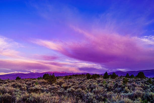 istock Purple Twilight Over Sagebrush Wilderness 2228688105