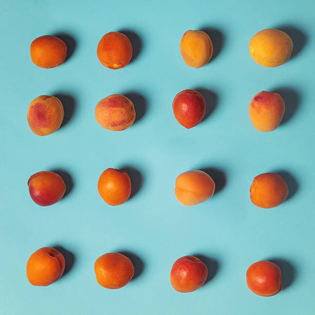istock Scattered fresh apricots on pastel blue background. Minimalist summer concept with vibrant colors. Ideal for themes of health, nature, food, freshness, and organic lifestyle. 2228691038