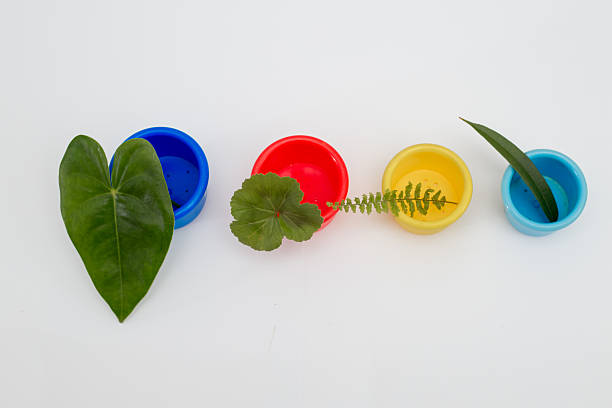 Playful composition of plastic household items with natural green leaves symbolizing real life in a world dominated by plastic.