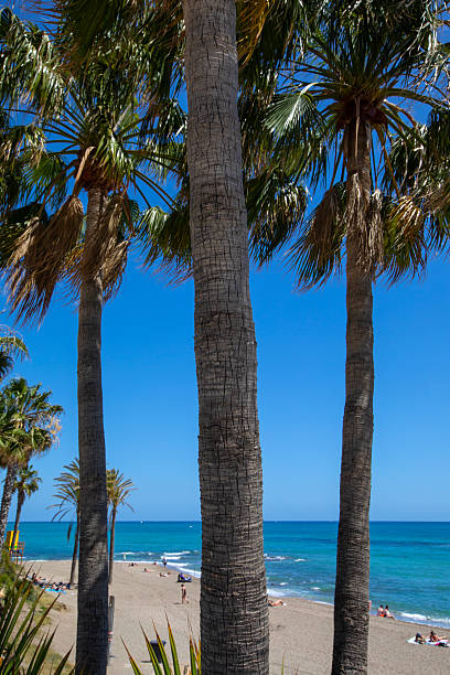 istock Playa de Bil-Bil in Benalmadena, Spain 2228691829
