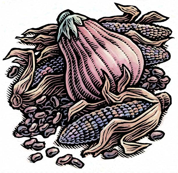 the three sisters: squash or pumpkin, dried corn, and dried beans