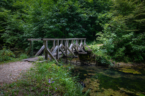 istock An ancient wooden bridge in the forest. 2228695086
