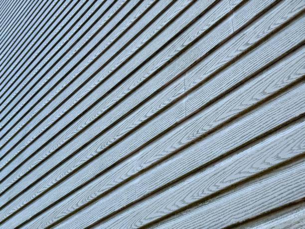 istock Vinyl Siding Home Protection and Waterproofing 2228699456