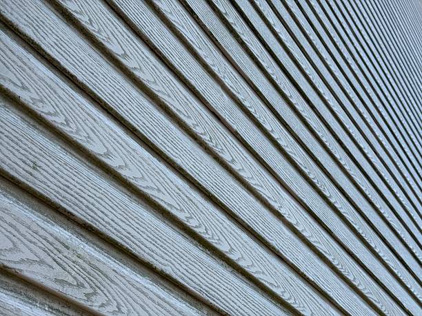 istock Vinyl Siding Home Protection and Waterproofing 2228699464