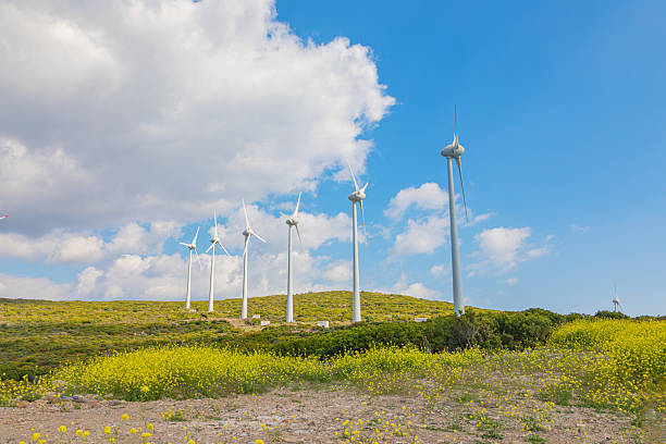 A row of modern wind turbines stands atop a lush green hillside under a partly cloudy blue sky, generating clean and renewable energy. This scenic landscape highlights the harmony between advanced green technology and natural beauty. The image symbolizes sustainability, environmental innovation, and the ongoing transition to eco-friendly power generation in rural settings