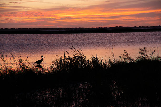 istock Sunset Reflections over lake and Bay 2228704282
