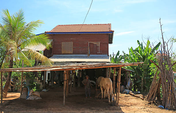 Siem Reap/Cambodia -April 6 2017: the unidentified local and his Cambodian style house in the village of siem reap. Stilt house is one of house style in southeast asia, the upper side for human and downside for livestock