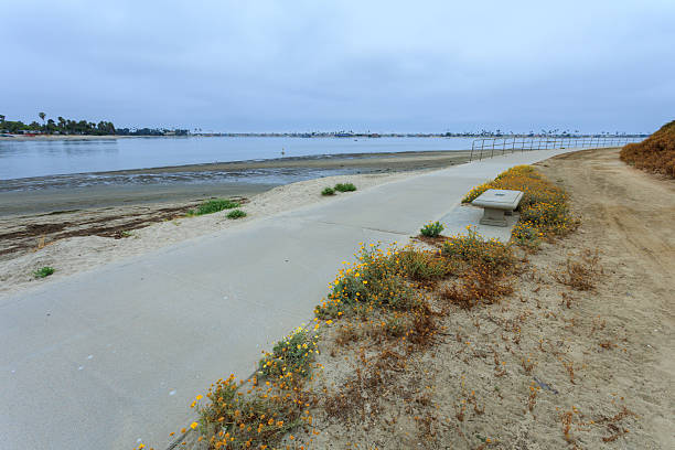 istock Bayside Walk and Stone Bench along Sail Bay, San Diego, CA 2228708813