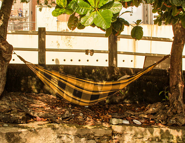Young Man Sleeping On Hammock At The Forest