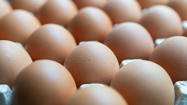 istock Fresh organic brown chicken eggs in cardboard tray 2228712989