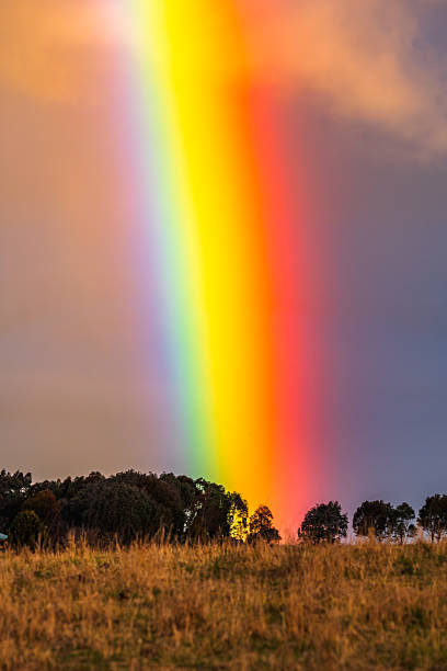 istock Rainbow after the storm over the rural countryside 2228713387