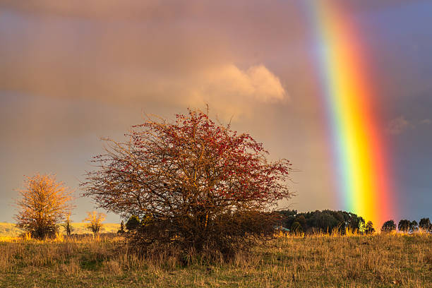 Rainbow over the countryside at Blayney in the Central West of NSW, Australia.