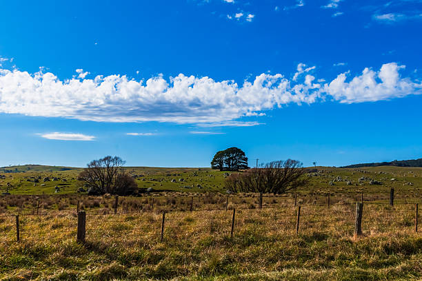 Countryside landscape around Braidwood in the Southern Tablelands, NSW, Australia.