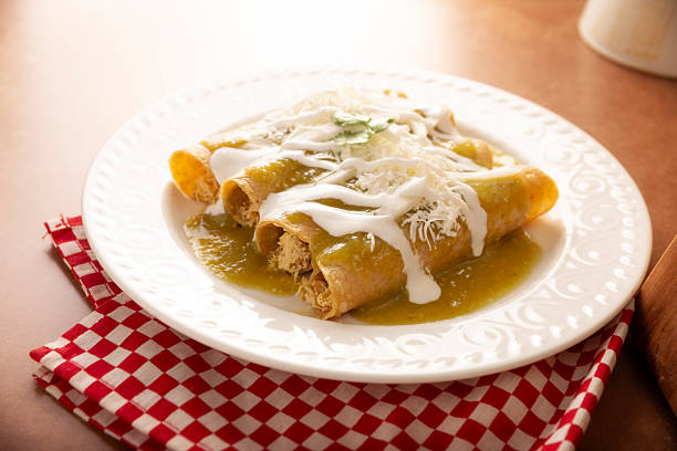 istock chicken enchilada traditional food mexico 2228718623
