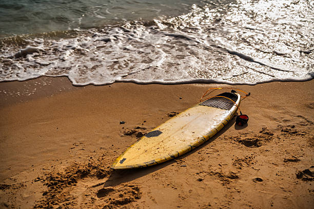 Colorful paddleboards and surfboards rest upside down on a sunlit promenade near the beach, casting long shadows. Perfect for themes of summer, water sports, vacation, and coastal lifestyle