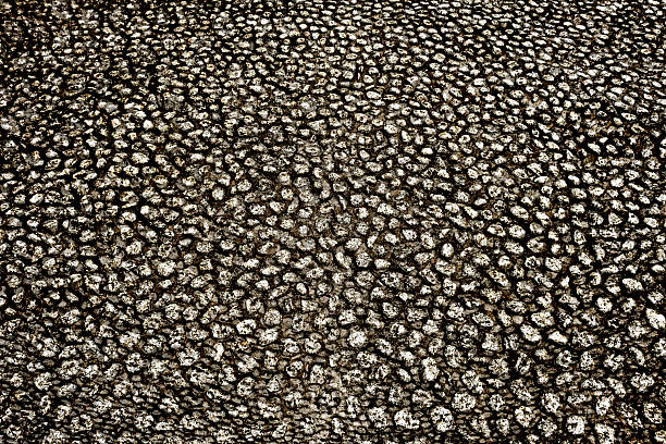 High angle view of many small paving stones abstract background.