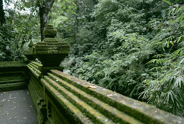 Balinese purification ritual (Melukat) led by local hotel guide