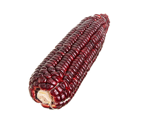 istock Fresh Purple corn isolated on white background, with clipping path 2228731490