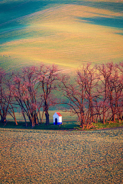 A small chapel in South Moravia, Czech Republic, bathed in the golden sunrise light. The building is surrounded by leafless trees, standing in a vast, rolling field with soft shadows