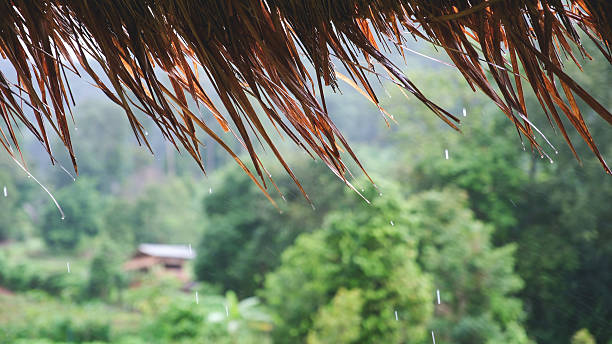 istock Raining over the grass hut roof in countryside 2228738239