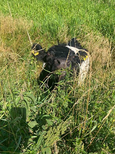 istock Mouth somewhat open. Organic farming - sustainable. 2228738828