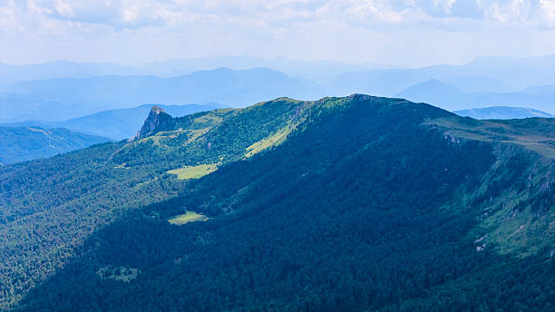 Jahorina mountain range covered with dense forest and sunlit clearings, shot from above
