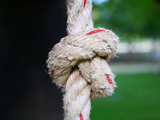 istock A large rope tied into a knot, tied to a large tree. 2228739321
