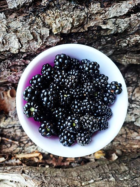 A bowl of blackberries. Blackberries in a pink bowl.