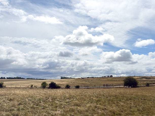 A serene rural landscape with a vast grassy field under a partly cloudy sky, featuring distant farm structures and grazing sheep.