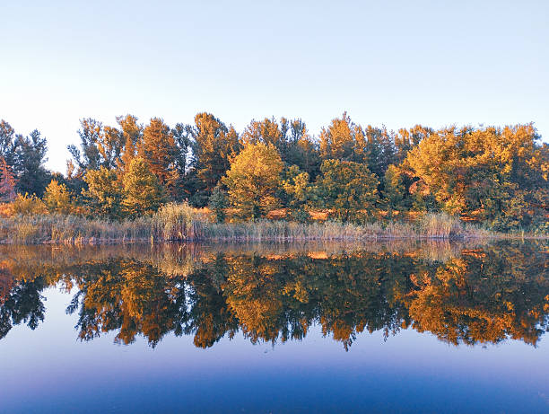 The compressed evening light colors the trees in golden hues, creating a warm reflection in the calm water. This picturesque view is filled with a sense of peace and symmetry, emphasizing the grandeur of nature.