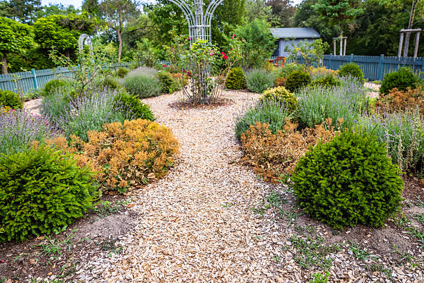 istock Modern gardening landscaping, plants with brown bark mulch 2228747586