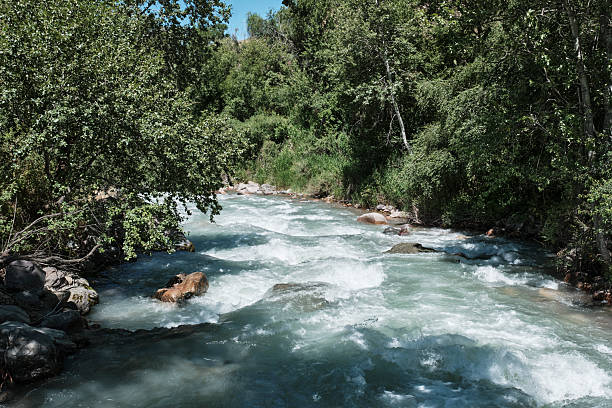 istock Mountain Turgen River in Kazakhstan 2228749784