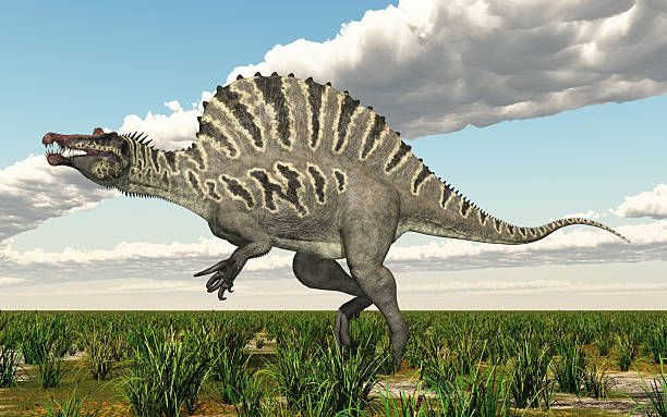 istock Dinosaur Spinosaurus in a landscape 2228751284