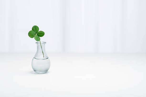 Table photo with a four-leaf clover motif