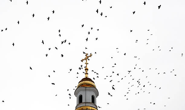 istock Birds soaring around a church steeple under an overcast sky during early evening 2228757413