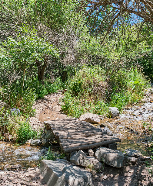 istock Small wooden footbridge over mountain stream on forest trail 2228758809