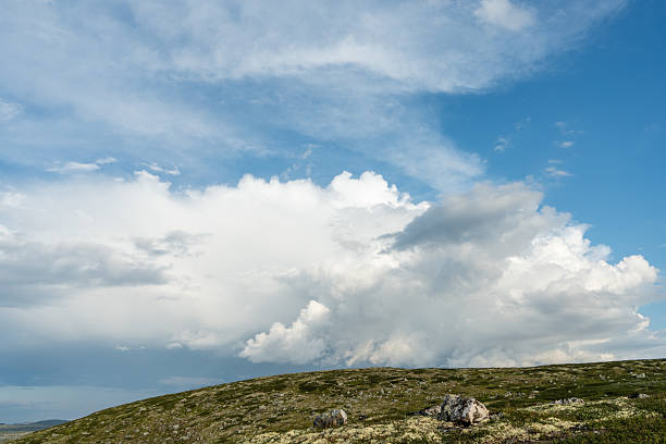 Rolling hills in Norway on a summer day. High quality photoExpancive green hills stretch across the Norwegian countryside, bathed in soft natural light