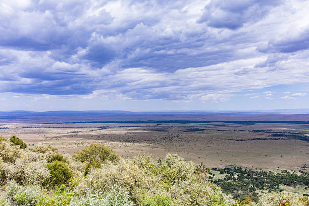 istock Angama Mara Landscapes Transmara Plants Vegetation Dramatic Clouds 2228760268