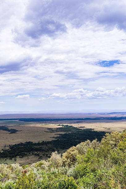 istock Angama Mara Landscapes Transmara Plants Vegetation Dramatic Clouds 2228760270