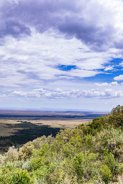 istock Angama Mara Landscapes Transmara Plants Vegetation Dramatic Clouds 2228760304