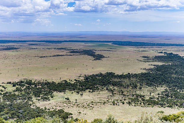 istock Angama Mara Landscapes Transmara Plants Vegetation Dramatic Clouds 2228760306