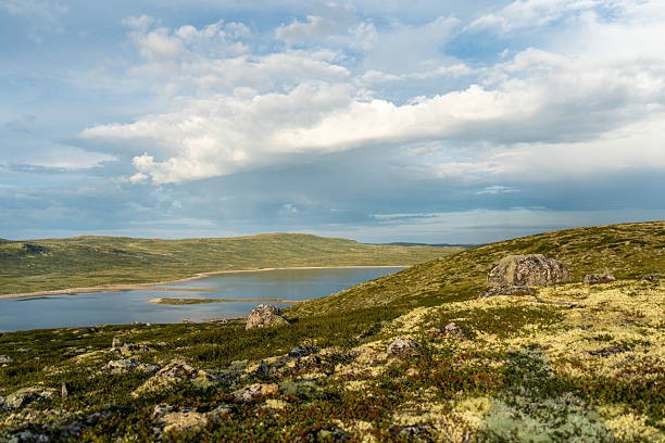istock Remote lake in Norway on a calm summer day 2228760427