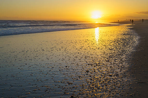 istock Vibrant sunset casting golden light across a shell-strewn beach with gentle waves and distant walkers. 2228762693