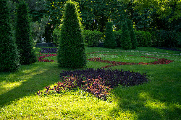 A vibrant summer garden bursting with colour, featuring flower borders, lush shrubs, and a neatly mowed lawn under bright sunlight. A perfect example of classic UK garden design.