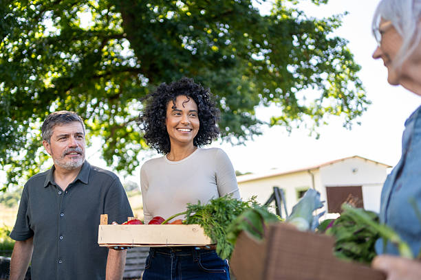 Smiling farmers carrying freshly harvested vegetables in wooden crates enjoy a sunny day, celebrating their hard work in the countryside