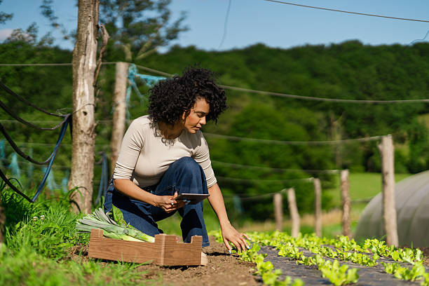istock Young female farmer using digital tablet while inspecting crops growing in field, working towards sustainable and eco-friendly agriculture 2228766839