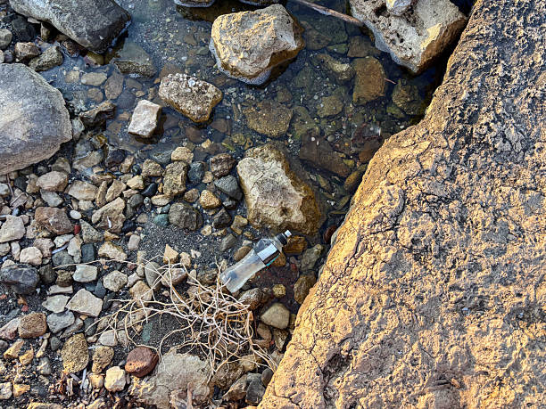 Plastic Bottle Polluting a Natural Rocky Shoreline